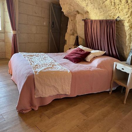 L'Escale Troglo Au Bord De La Loire Villa Souzay-Champigny Eksteriør billede
